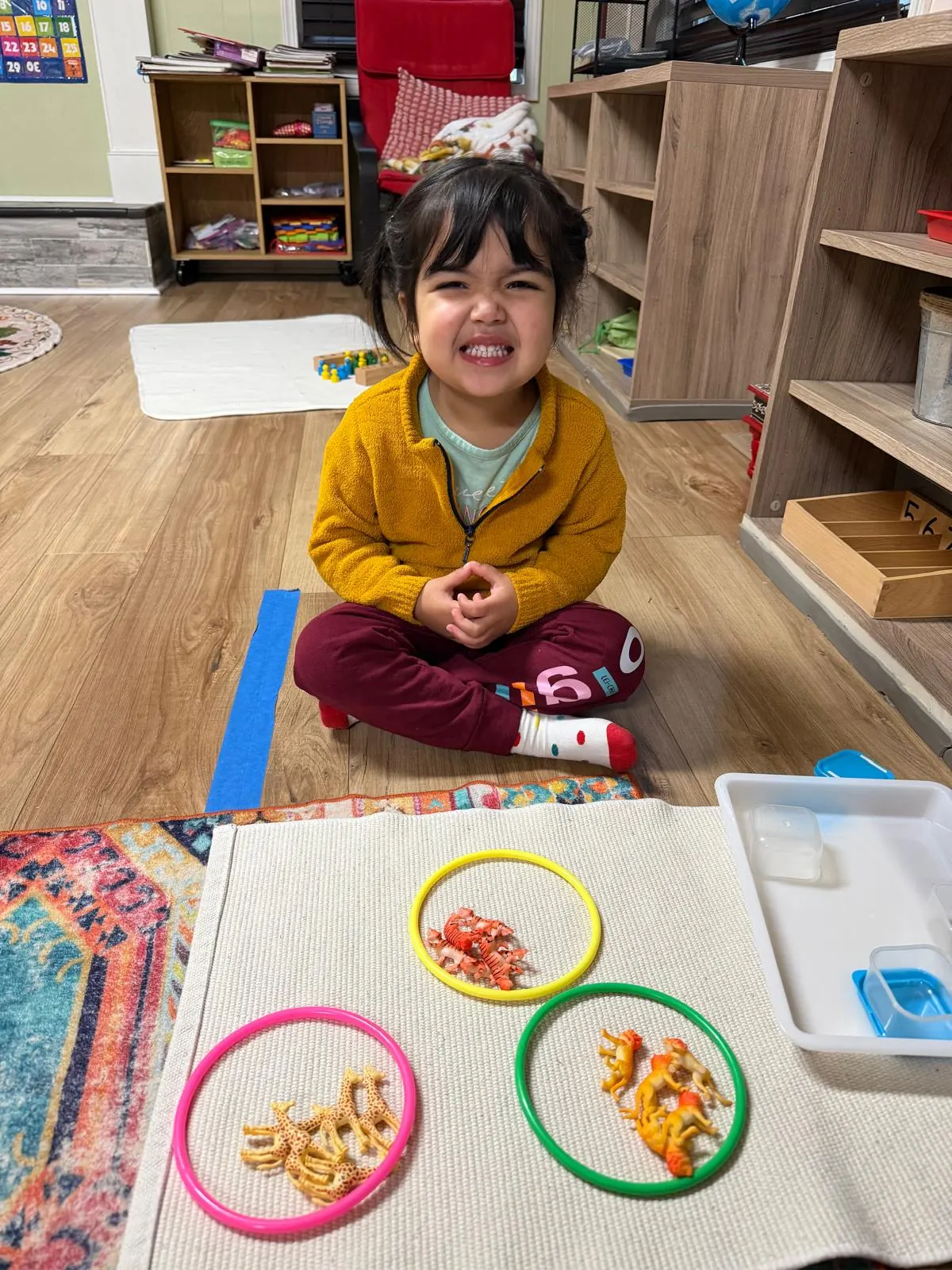 A grinning girl sorting toy animals into coloured hoops